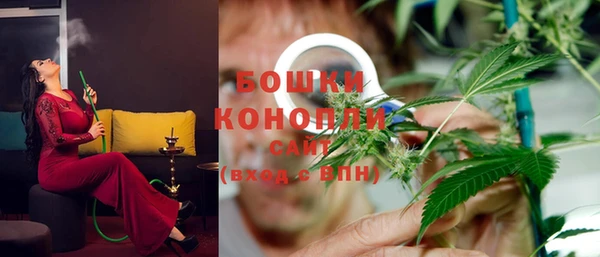 прущие грибы Балахна