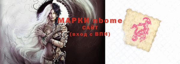 молекула духа Осташков