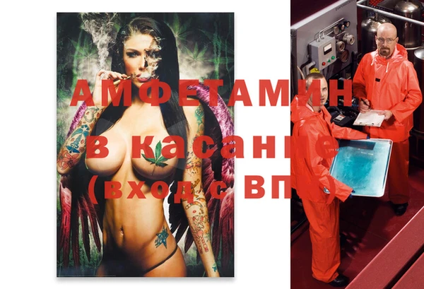 прущие грибы Балахна