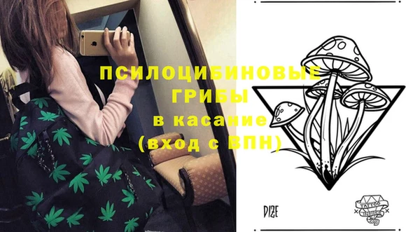 гашик Белокуриха