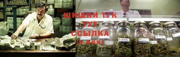 гашик Белокуриха